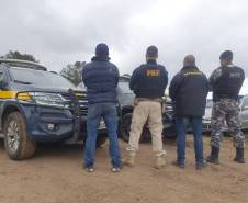 Em operação conjunta, PRF identifica veículos roubados ou furtados em pátio do Detran. - Curitiba, 13/07/2021 - Foto: Detran-PR