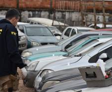Em operação conjunta, PRF identifica veículos roubados ou furtados em pátio do Detran. - Curitiba, 13/07/2021 - Foto: Detran-PR