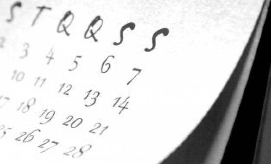 Feriado Municipal Feriado Municipal